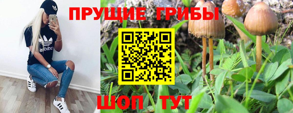Галлюциногенные грибы ЛСД Серпухов
